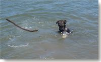 Pic: "Priam in July 2000 at the Stanford Sailing Center in Redwood City" - Size: 5k