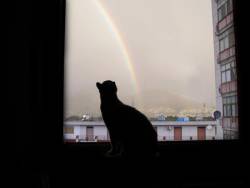 Pic: "Ingrid beside the rainbow" - © 2006 by Gabriele Ingrassia - Size: 5k